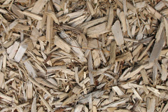 biomass boilers Stelvio