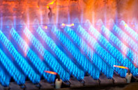 Stelvio gas fired boilers
